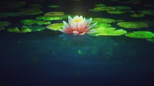 Шинобу кочо против Доума