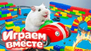 ХОМЯК ВЫБИРАЕТСЯ ИЗ СЕКРЕТНОЙ ХОМЯЧЕЙ ТЮРЬМЫ 🐹🏠 Играем ВМЕСТЕ! Помогаем выбраться из лабиринта