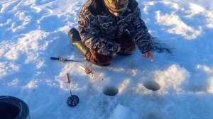 Лень и  плотва, рыбалка!!!