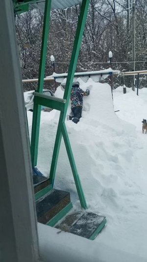 Внучок приехал, прогулялись