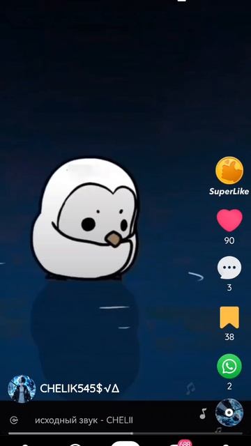 SVID_20260207_153339_1.mp4