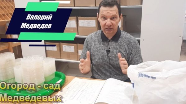 Начинаю огородный сезон с  четкого плана что, где и когда я буду сажать