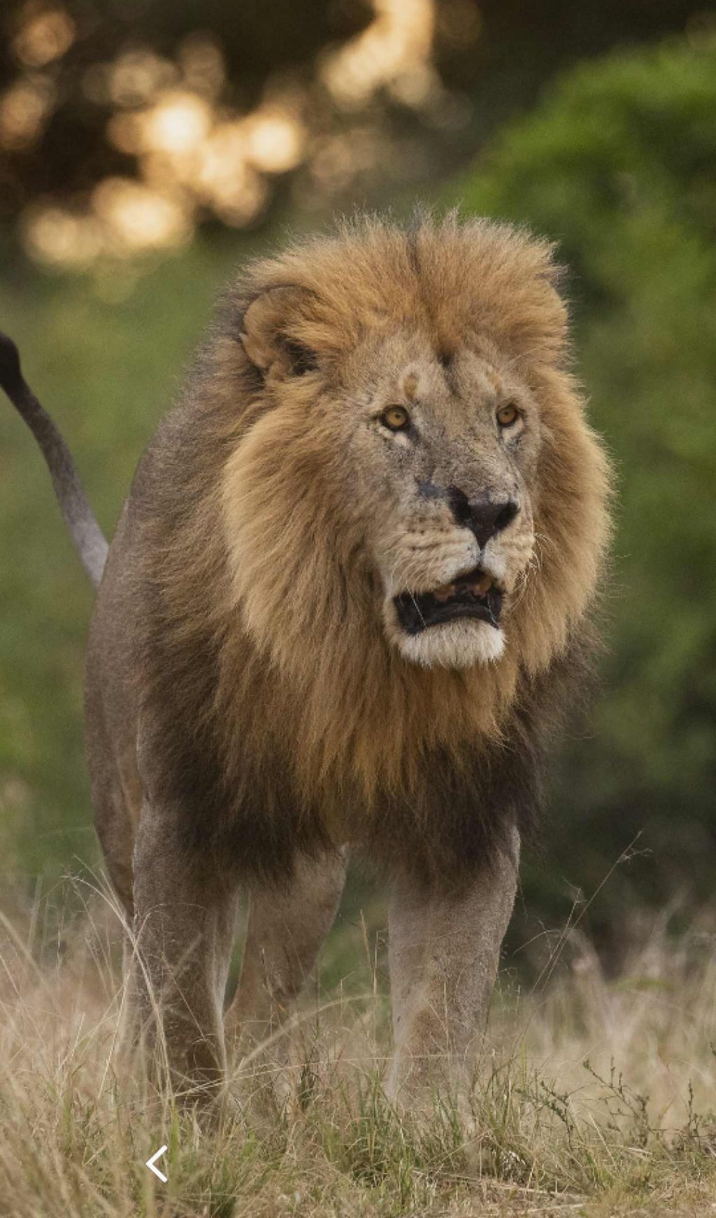 Читайте библию. Мозг (ум) должен обновлятся.