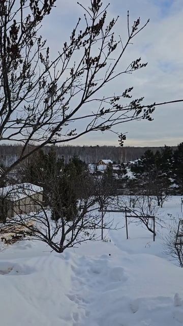 Что такое "калишки"? смотреть онлайн