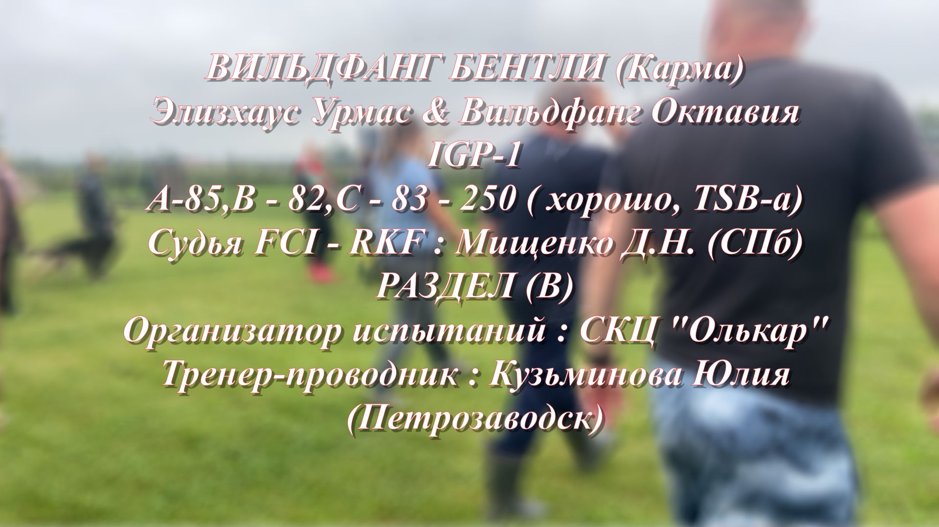 Карма IGP  1, Раздел - В