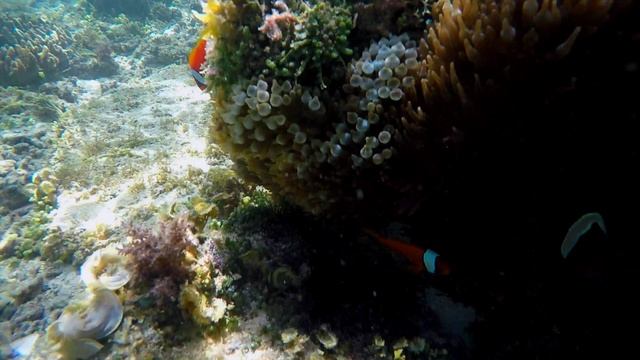 Philippines 2018 смотреть онлайн