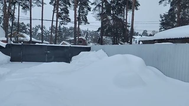 Киса и домосед, что общего? Этому столику больше не наливать. смотреть онлайн