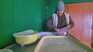 Поехала за поросями/посеяла петунию / погода -4 сегодня/ каких уток хочу