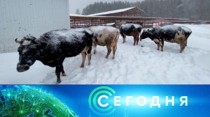 «Сегодня»: 7 февраля 2026 года. 08:00 | Выпуск новостей | Новости НТВ