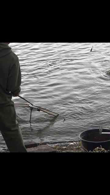 Это червончик ребятки смотреть онлайн