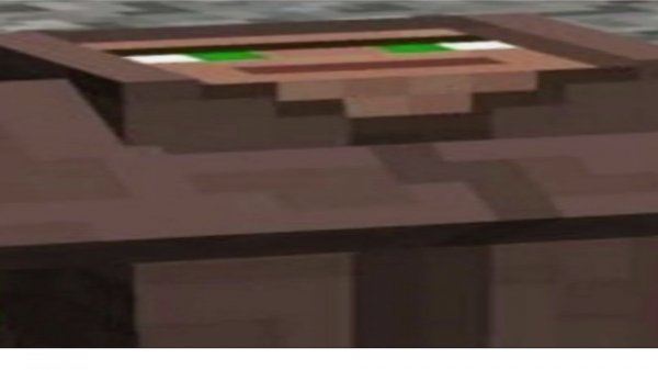 IMMORTAL VILLAGE MINECRAFT... HOW!