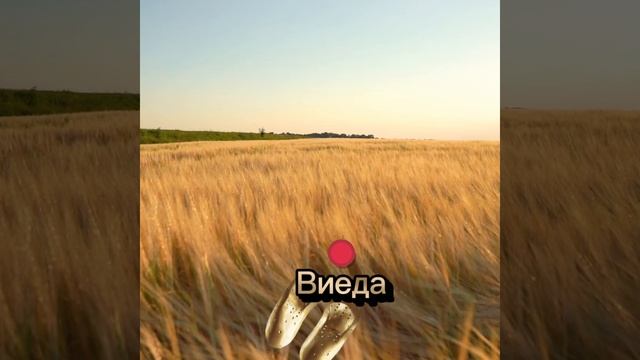 20276.mp4 смотреть онлайн