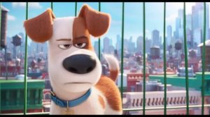 Сцена из мультфильма "Тайная жизнь домашних животных"