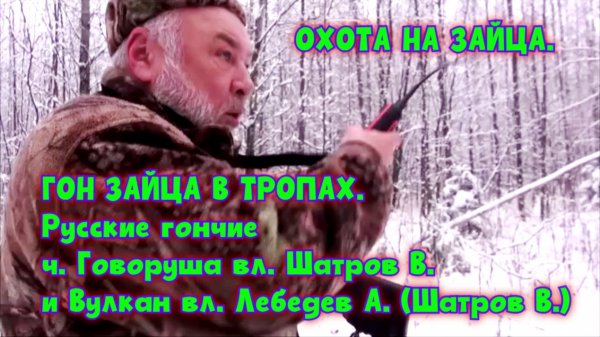 ГОН ЗАЙЦА В ТРОПАХ. РГ ч. Говоруша вл. Шатров В. и Вулкан вл. Лебедев А.#охотасгончей#топ #hunting