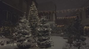 Редкий снегопад в Бергене. Атмосферная пешеходная экскурсия❄️☃️