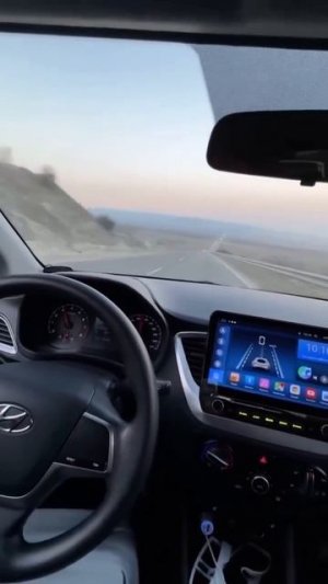 Коты быстрого реагирования