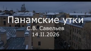С.В. Савельев - Панамские утки