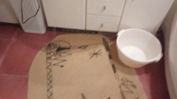 кормлю Зейнаб 🫠