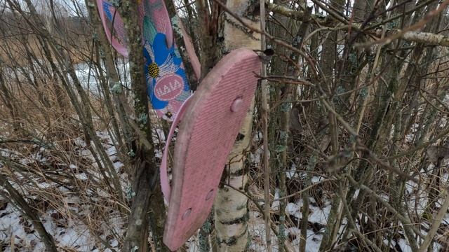 Шлёпанцы на дереве смотреть онлайн