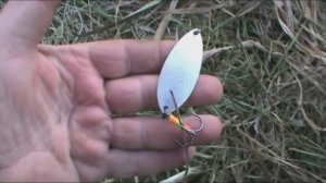 Спиннинг.Блёсна колебалки.Осень.