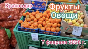 Краснодар - магазин Каневские фрукты - обзор цен на фрукты и овощи - 7 февраля 2026 г.