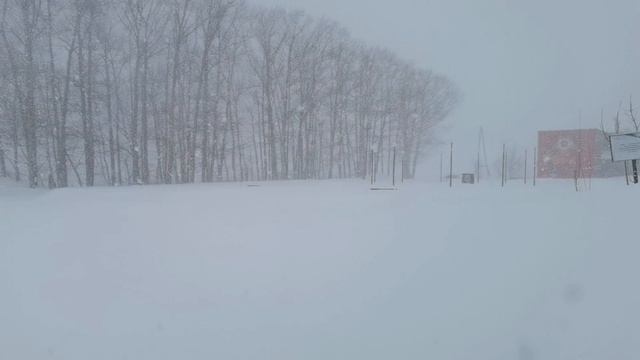 Сильная метель на Сахалине / 6 февраля 2026 года смотреть онлайн