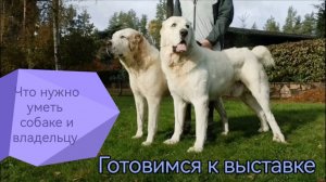 Готовимся к выставке