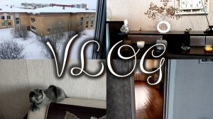 🏡VLOG 😺 Новый житель 🤦♀️Рассказываю как есть 😡Пришлось выкинуть ковёр