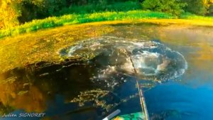 Ловля сома на спиннинг. Сом 2м. 63см.