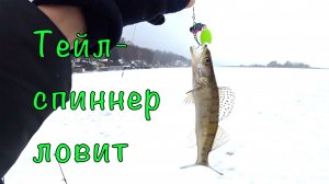 Ловля в ОТВЕС на ТЕЙЛ-СПИННЕРЫ. Зимняя рыбалка.