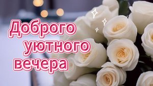 Доброго уютного вечера музыкальная открытка 🌙✨