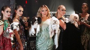 Пятница News, 2026 сезон, 20 выпуск