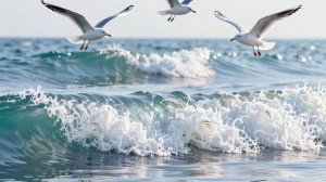 Морской закон.