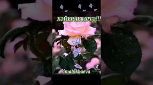 1000017408.mp4