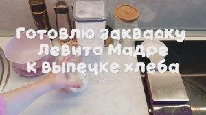 Готовлю закваску Левито Мадре к выпечке хлеба