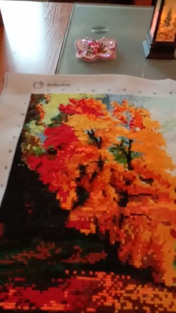 video_20260207_141118.mp4