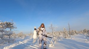 Шёл за глухарём, а нашёл зайца-беляка. В нужном месте- в нужный час!