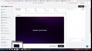 играю в RADMIR RP поднимаю деньги на работах