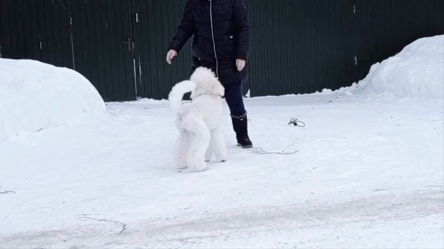 AТАМИ ЯНОЧКА МОЯ БЕЛЯНОЧКА.