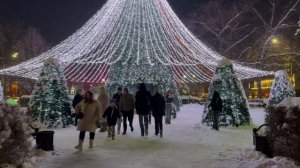 Шурик и Лидочка под Ёлкой | #краснодар#мирувлечений