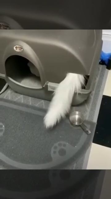 Не ищет лёгких путей смотреть онлайн