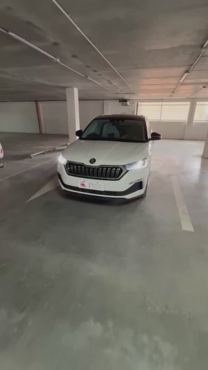 Skoda Kamiq 2022 GT из Китая