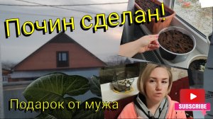 Переезд на ЮГ 🌞Почин сделан 🌱 Подарок от мужа🎁 Погодные качели на Кубани❄☀