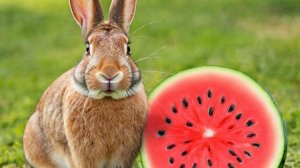 ВОЛШЕБНЫЙ АРБУЗ 🍉🧙 Сладкий эксперимент!