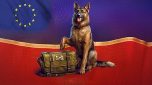 World Of Tanks. Евросервак. Новый год. Собака в ангаре.