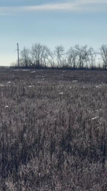 Поля в нитях оптоволокна смотреть онлайн