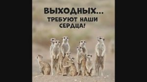 Воскресный отдых ВСЕ ВКЛЮЧЕНО. (сборник приколов №487.)..