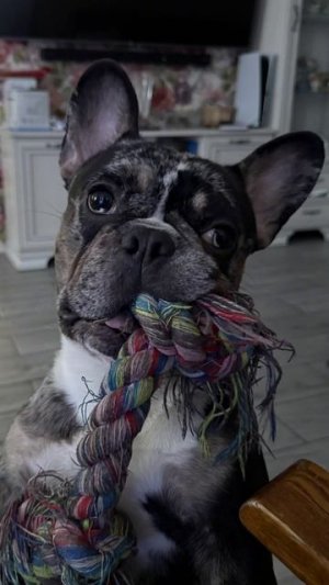 Это точно не все😄