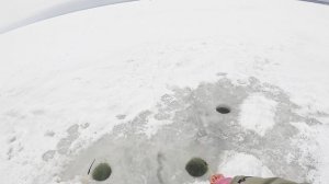 Курорт! 4кг  плотвы.  15. 01. 26.