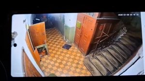 Львовский ухилянт неудачно выгулял свою собачку